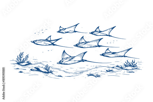 Vintage Hand Drawn Stingray Fish Swimmers Group in Ocean Deep Sea Water Engraving Style Vector Illustration for Marine Wildlife and Nature Design Concepts