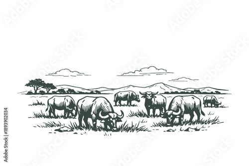 Water Buffalo Herd Grazing in a Rural Field Landscape Vintage Engraving Style Vector Illustration of Livestock Farming and Countryside Wildlife Scenery.