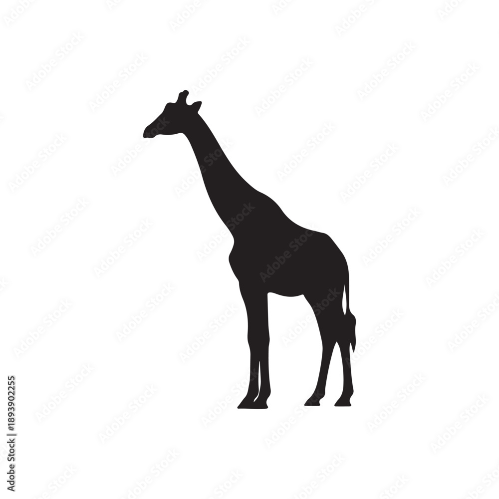 Fototapeta premium Giraffe icon sign vector illustration design silhouette on white background