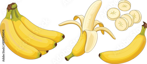 Bunch of Bananas Peeled Banana Sliced Bananas and Single Banana vector illustration