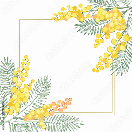 cornice decorativa mimosa