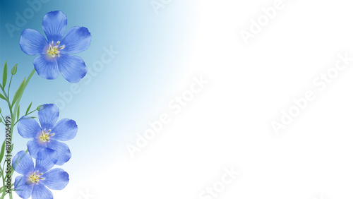 Bilde på lerret Delicate Blue Flax Flowers with Green Stems on a Soft Blue and White Gradient Ba