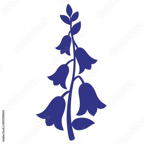 aconitum vulparia silhouette vector on white