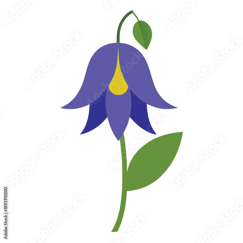 vector illustration of aconitum carmicheaelii