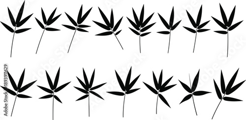 Bamboo leaf silhouettes collection in various shapes, minimalist botanical plant elements isolated on white background vector illustration
