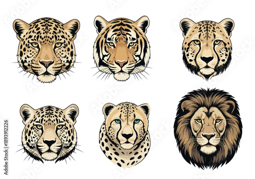 Set of detailed wild big cat faces including tiger, lion, leopard, cheetah and jaguar, perfect for wildlife and animal design projects