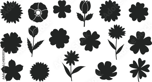 Black and white floral silhouettes isolated on transparent background