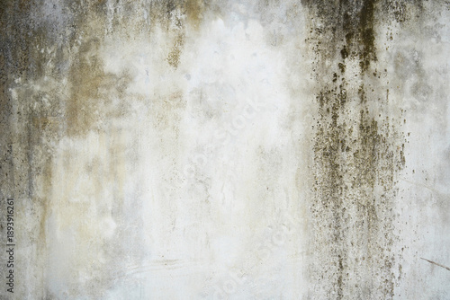 weathered concrete wall texture with moss and discoloration