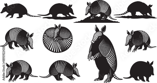 Black and white armadillo silhouettes and animal wildlife