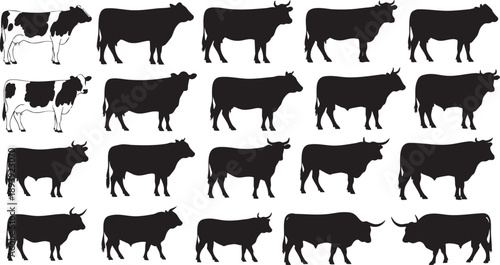 Black and white cow silhouettes bull cattle