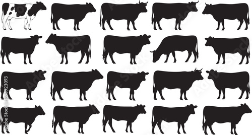 Black and white cow silhouettes cattle