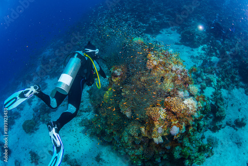 Schilderij op canvas scuba diver and coral reef