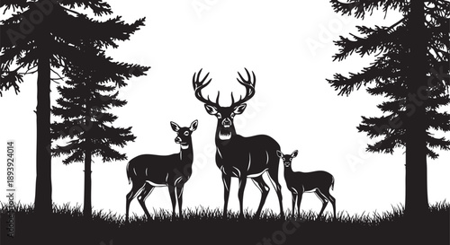 Black and white of deer family with trees buck fawn