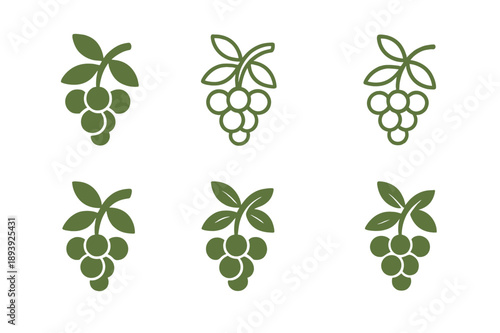 Organic Logo Variations. Organic produce. Icon set. Set Logo of Organic produce: berry cluster branch. harmonious logo variations of the same emblematic