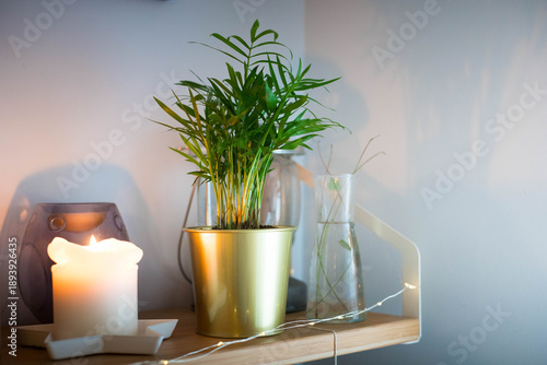 A plant of Chamaedorea elegans or Parlour Palm in a golden pot on a wooden shelf near a lit candle. Background with copy space.