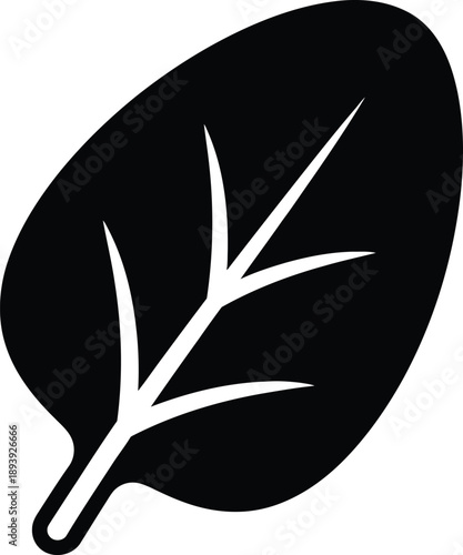 Flat Spinach Leaf Silhouette Botanical Illustration