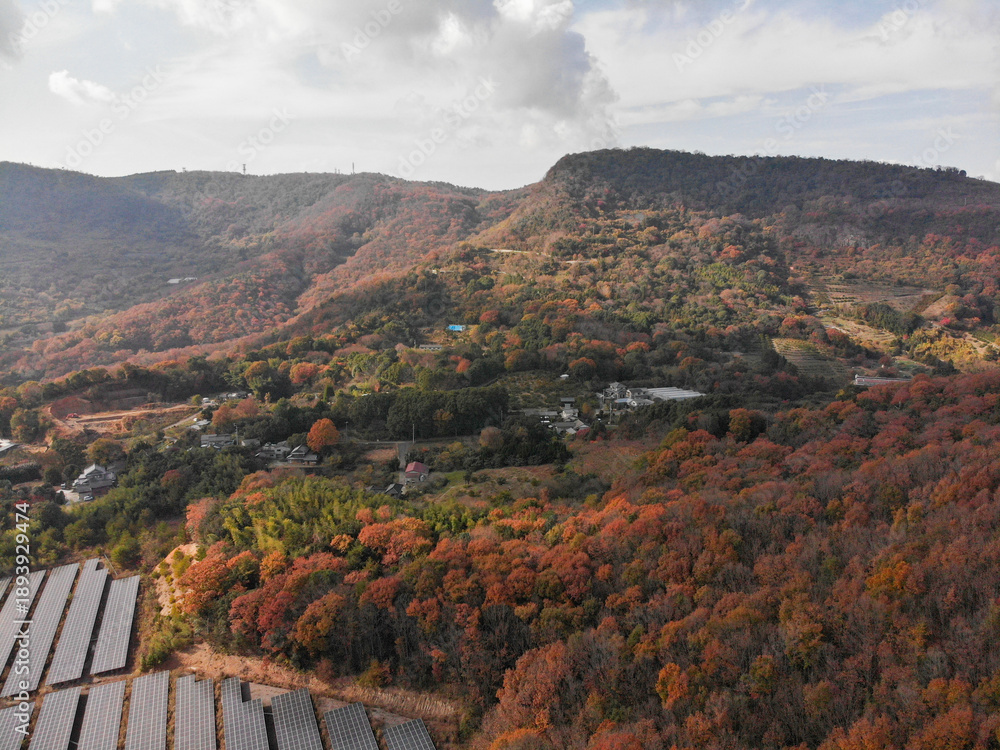 Fototapeta premium Aerial view of autumn forest and rural village along the Shikoku Henro pilgrimage route in Japan