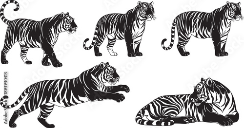 Black and white tiger in various poses tigers animal wildlife