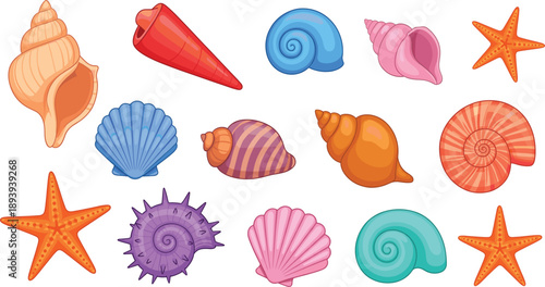 Large set of sea shells and starfish vector illustrations featuring various marine species and ocean life isolated on white background for summer beach and nautical design projects