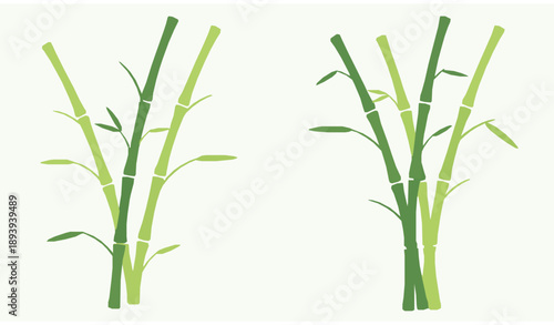 Decorative bamboo grove with segmented green stalks wellness eco vector illustration isolated on white