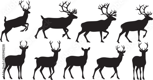 Black silhouettes of deer with antlers on white background 4