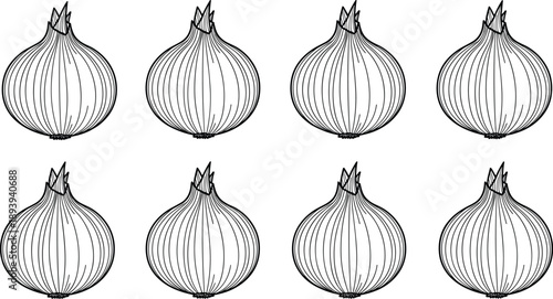 Hand drawn vector line art icons of fresh whole onions, perfect for healthy cooking, organic vegetable market, and minimalist culinary designs