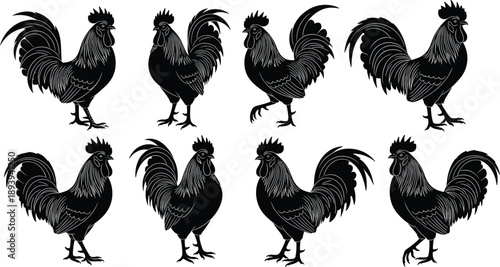 Set of eight detailed rooster silhouettes in various poses featuring intricate feather patterns for farm, agriculture, and organic food branding.