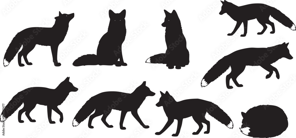 Obraz premium Black silhouettes of foxes in various poses white background animals
