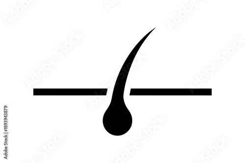 A minimalist vector graphic of a hair follicle icon in flat design