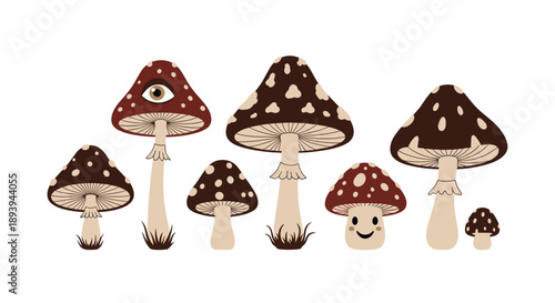 Collection of whimsical mushroom illustrations in brown and tan colors, including fun characters with a face and a mystical all seeing eye.