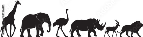 Black silhouettes of giraffe elephant ostrich rhinoceros antelope and lion walking in a line 1