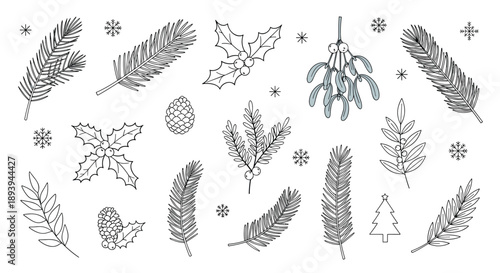 Detailed set of winter botanical illustrations featuring pine branches, holly berries, mistletoe, pinecones, and delicate snowflakes.