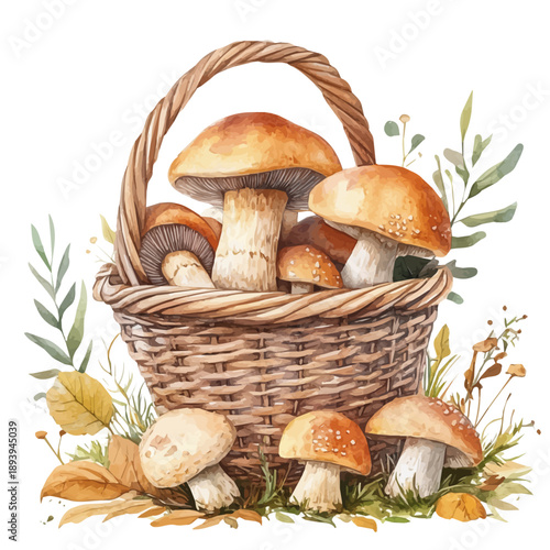 A Basket Of Mushrooms On A Forest Floor, detailed watercolor painting, isolated on a white background.