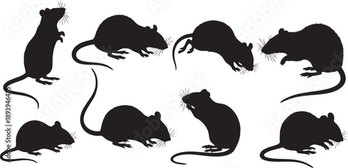 Black silhouettes of mice in various poses on white background mouse rodents