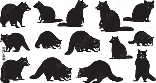 Black silhouettes of raccoons in various poses animal wildlife mammals