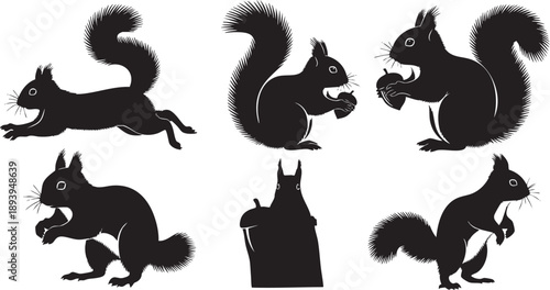 Black silhouettes of squirrels in various poses on white background rodents
