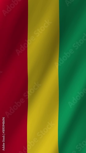 Vertical Guinea Flag Waving Animation, 4K Quality