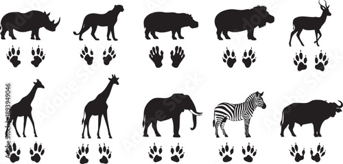 Black silhouettes of various african animals and their footprints wildlife rhinoceros