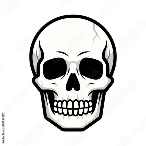 Detailed vector illustration of a human skull with anatomical shading and cracks. Isolated on a white background for gothic or medical design.