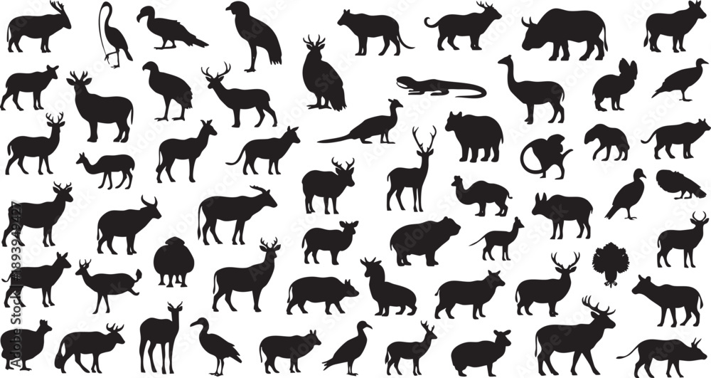 Obraz premium Black silhouettes of various animals on white background 1