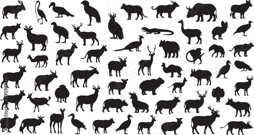 Black silhouettes of various animals on white background 1
