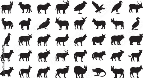 Black silhouettes of various animals on white background animal silhouettes black animals 2 wildlife savannah animals