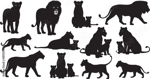 Black silhouettes of various big cats and cubs on white background lion cub panther leopard jaguar