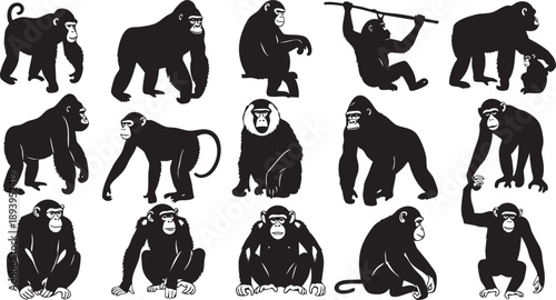 Black silhouettes of various monkeys in different poses white background primates