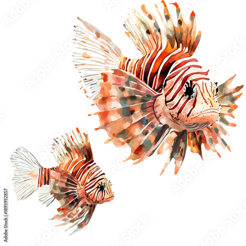 A Mother Lionfish With Her Kid, delicate watercolor illustration vector with soft and elegant colors, isolated on a white background.