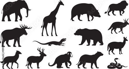Black silhouettes of various wild animals on white background 4
