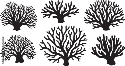 Black Coral Silhouettes on White Background Ocean Illustration Set