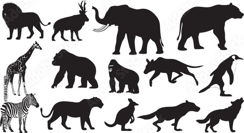 Black silhouettes of various wild animals on white background lion deer elephant bear giraffe