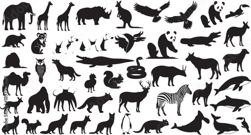 Black silhouettes of various wild animals on white background