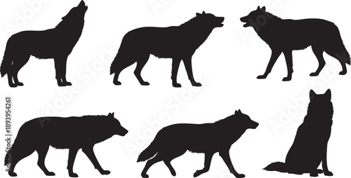 Black silhouettes of wolves in various poses wolf silhouettes black wolves standing wolves sitting wolf